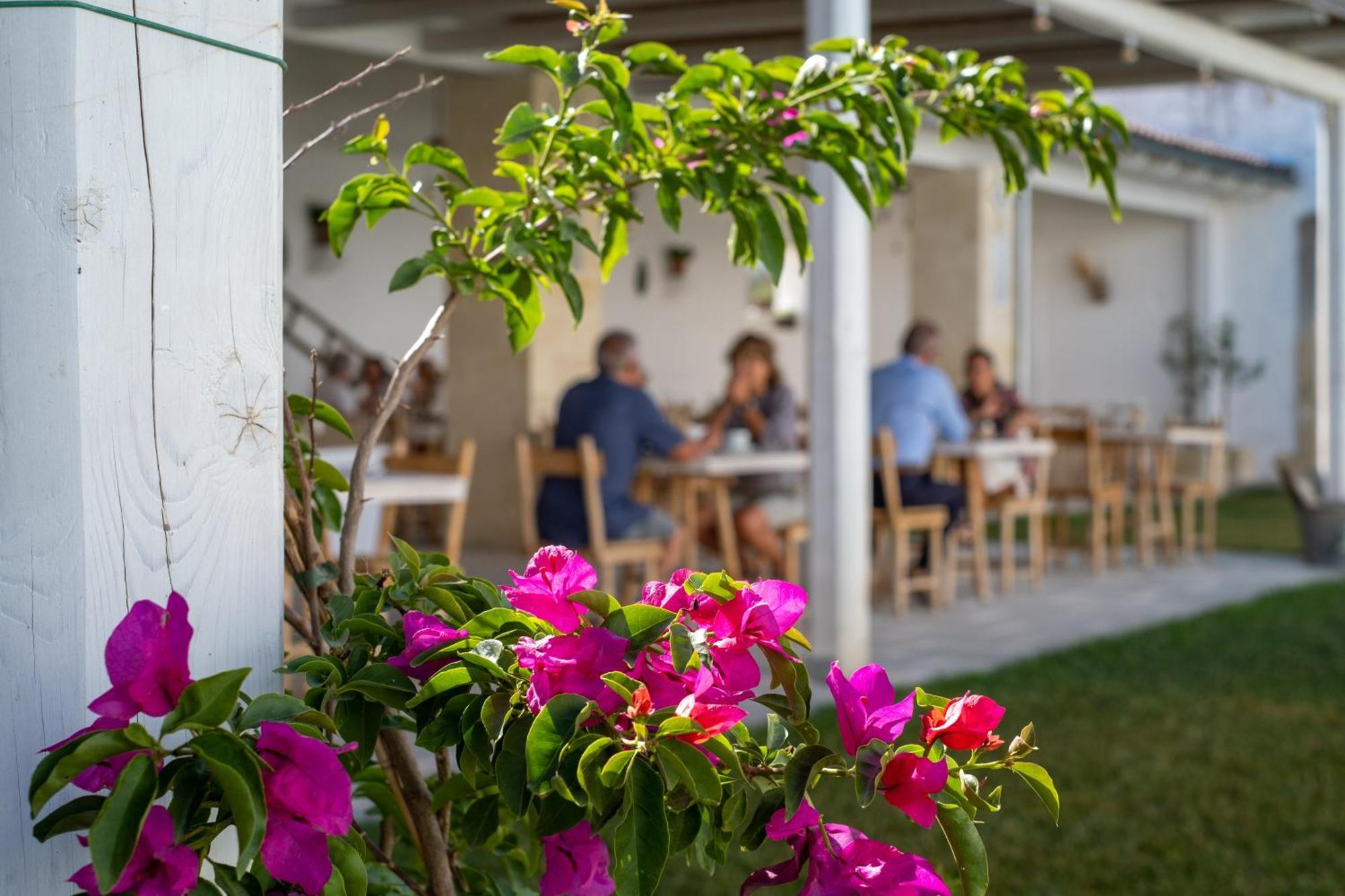 Masseria Rauccio Торре дель'Орсо Экстерьер фото
